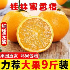 广西桂林蜜香橙纯甜不酸蜂蜜清香橙子超甜现摘新鲜水果比冰糖橙甜