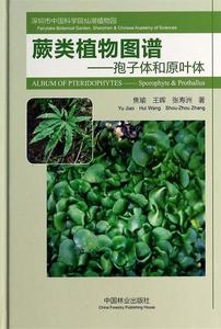 蕨类植物图谱：孢子体和原叶体焦瑜，王晖，张寿洲著中国林业出版