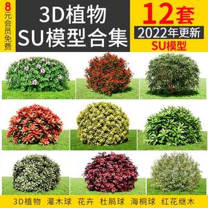 3D植物灌木球SU模型玫瑰花红继木杜鹃红叶石楠海桐绿植景观su素材