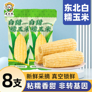 新货东北白糯玉米250g*8支真空包装新玉米粘黏糯玉米棒苞米非即食