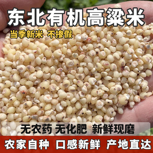 东北有机白高粱米5斤新米黏糯五谷杂粮粗粮农家自产现磨去皮