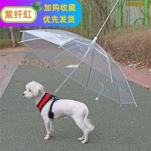 宠物用品雨具狗狗雨伞创意牵引绳小狗雨衣带链泰迪比熊小型犬雨披