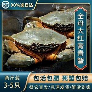 三门青蟹膏蟹超大螃蟹公蟹母蟹肉蟹处子蟹2斤礼盒装3-5只海鲜水产