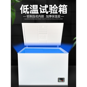 低温试验箱小型冷冻柜工业冷藏实验室DW-40冰冻柜环境老化测试箱