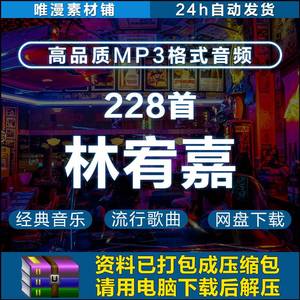 228首林宥嘉(2008-2019)华语单曲歌曲mp3-320K车载背景音乐下载包