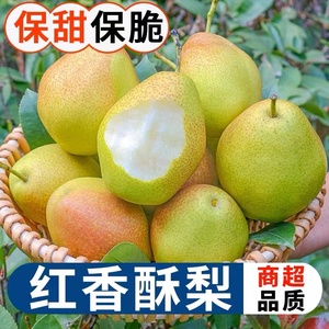 【新品立减】山西高原红香酥梨脆甜多汁3斤12.9包邮孕妇水果