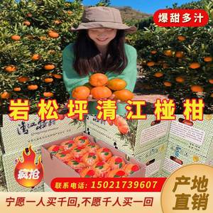 宜昌长阳清江正宗岩松坪椪柑橘子新鲜水果薄皮多汁特级45个礼盒装
