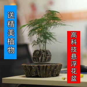 磁悬浮花盆盆栽自转办公室家居装饰摆件创意礼物送领导老师礼物