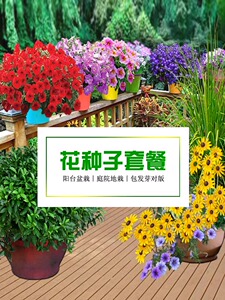 花种子套餐包邮 四季播易种植孑室内外家庭阳台盆栽春秋花卉花籽