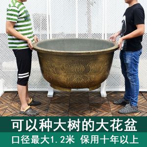 特大号大码塑料树脂花盆仿紫砂庭院阳台种树铁树果树睡莲荷花盆缸