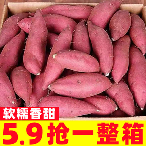 新鲜蜜薯10斤板栗红薯沙地糖心地瓜农家自种番薯烟薯25号香薯山芋