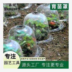 育苗保温罩专用园艺罩塑料可透气种植保护罩透植物闷养恒温罩