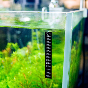欧美德国进口技术博宇水族箱鱼缸贴片温度计龟缸温度表贴纸爬虫箱