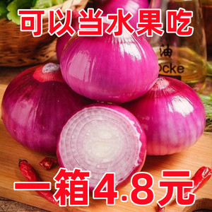 紫皮洋葱新鲜洋葱头生吃货农家自种蔬菜甜红皮圆葱5斤批发包邮10