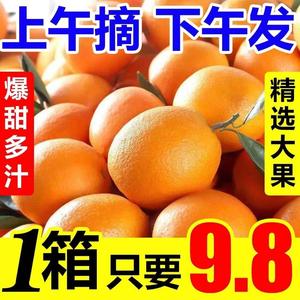 脐橙10斤新鲜橙子应当季现摘水果果冻橙手剥非赣南冰糖甜脐橙整箱