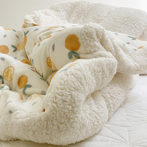 远梦家纺羊羔绒毛毯冬季加厚盖毯子床上用珊瑚牛奶绒被子毛绒学生