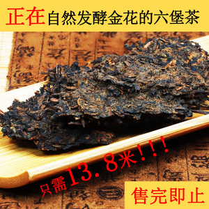 超年六堡【金花银豪】广西梧州六堡茶黑茶正品茶叶茶20g/50g