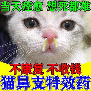 猫鼻支专用药猫咪感冒药特打喷嚏流鼻涕呼吸道感染滴鼻液急效救药