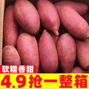 新鲜板栗薯烟薯25号10斤新鲜蔬菜超甜糖心蜜薯烤地瓜红薯番薯板栗