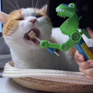 恐龙逗猫棒质量好的逗猫的玩具机器人创意宠物猫咪狗狗薄荷棒棒糖