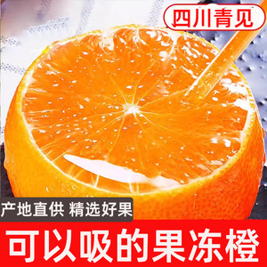 现货四川青见果冻橙新鲜整箱当季水果9斤橙子大果柑橘桔子包邮10