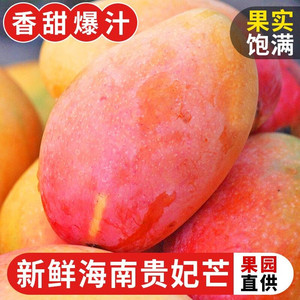 海南贵妃芒9斤红金龙当季新鲜水果热带甜心芒果大果整箱包邮10