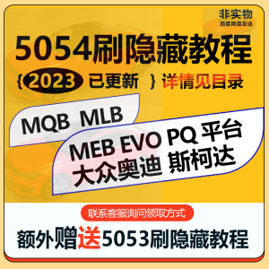 大众奥迪5053 5054刷隐藏 改装教程ODIS工程师改装升级MQB平台MLB