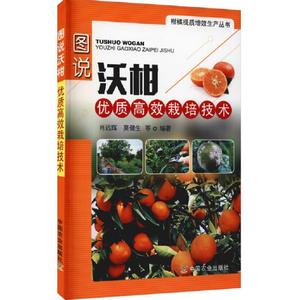 正版柑桔种植技术视频U盘书图说沃柑效栽培技术肖远辉中国肖肖远