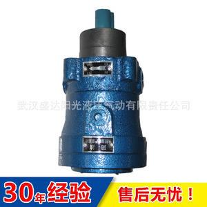 启东 上海 250MCY14-1B 定量柱塞泵 轴向柱塞泵 油泵 质保一年