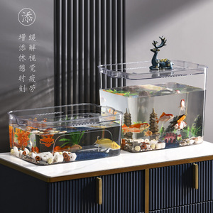 花盆鱼缸一体塑料透明亚克力热带成型防摔孔雀鱼缸插花水缸生态缸