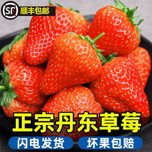 正宗丹东草莓99红颜奶油东港九九甜牛奶草莓新鲜大果礼盒空运直达