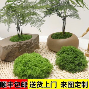 仿真苔藓草皮仿生人造假青苔微景观布置摆件草坪盆景盆栽铺面造景