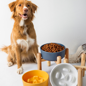 hocc狗碗缓食盆防噎防吐陶瓷慢食盆大口径狗狗慢食碗防打翻宠物碗