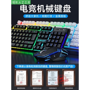 雷蛇机械键盘鼠标套装笔记本台式静音男女生办公专用游戏电竞有线