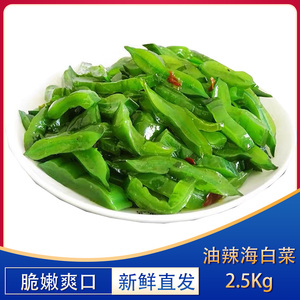 油辣海白菜整箱2.5kg装即食下饭裙带菜海带丝腌制酱咸菜泡菜商用