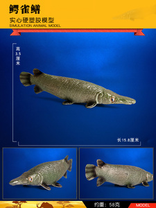 林畅模玩儿童海洋动物玩具鳄雀鳝模型仿真鱼深海史前鱼类远古生物
