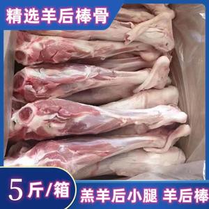 羊后腱新鲜冷冻羊后腿羊后棒20斤整箱羊小腿清真食品羊棒骨羊肉