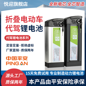 新日折叠电动车电池48V25AH30安代驾车通用电瓶大容量自行车电瓶