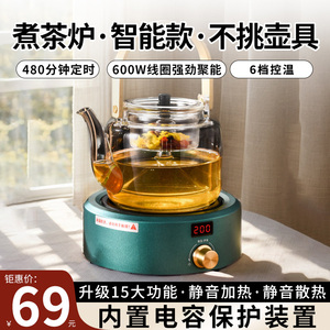 电陶炉煮茶壶小型电热炉迷你电磁炉新款煮茶器煮茶炉围炉电炉温酒