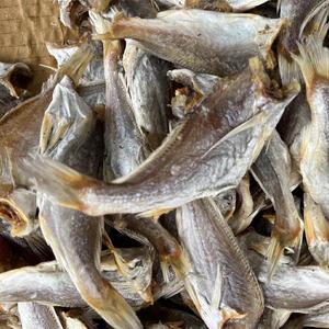 划鱼肉250克汕尾特产海鲜海丰陆丰擂咸茶配料 海干货 黄肉鱼