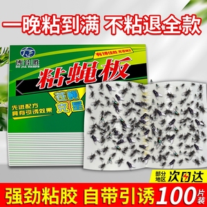 粘蝇纸苍蝇贴强力粘蝇板灭蝇子蚊子捕捉器家用一扫光飞虫果蝇自带