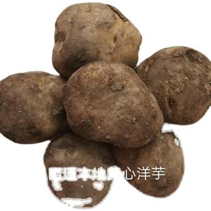云南昭通特产农家自种老品种洋芋开花面土豆马铃薯5斤包邮促销