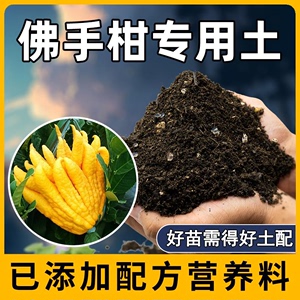 佛手柑专用土酸性腐殖土果树营养土通用种植泥土盆栽有机肥料土壤