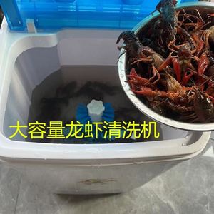 洗小龙虾机器家用商用洗龙虾神器洗土豆机