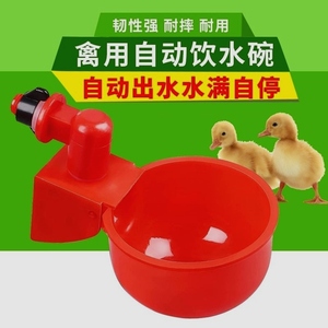 家禽自动饮水碗鸡用自动饮水器喝水碗喂水器鸡鸭鸽子鹌鹑鸟饮水器