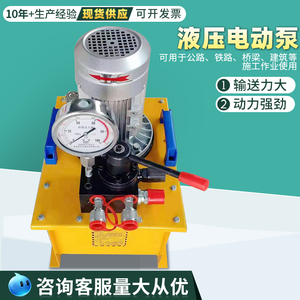 液压电动泵轻型手提式双油口24V12V电动泵380V大动率液压系统总成