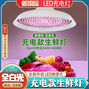 夜市摆摊充电款生鲜灯卖水果熟食卤菜卤肉专用应急照明节能led灯