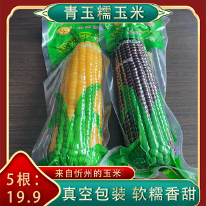山西青玉黄黑甜粘糯玉米棒真空包装220g山西忻州糯玉米