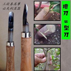 多款槽刀u型剔芽弧形靠接半圆型园林果树嫁接工具模具钢刀。