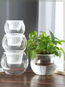 创意水培瓶植物透明塑料花瓶容器绿萝花盆鱼花共养缸水养摆件器皿